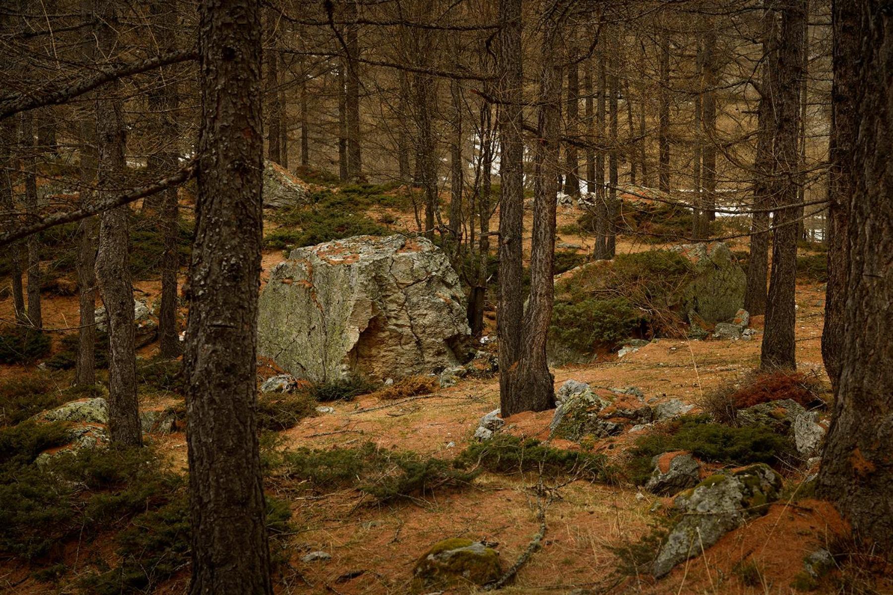 Rifugio Lou Lindal Otel Canosio Dış mekan fotoğraf